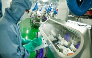 新舊動能轉換丨生物技術研發中心投入使用 市北生物科技創新集聚效應初步顯現