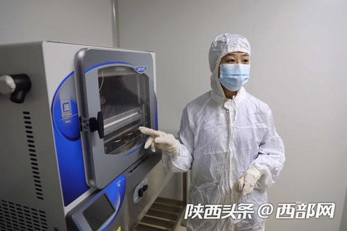 行走自貿(mào)區(qū) 跨國診療 共享實驗室 現(xiàn)代醫(yī)療大大提升治病效率