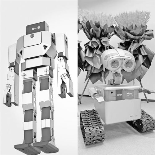 商業(yè)化路徑漸明 資本競逐家用機器人賽道