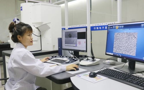 科技創(chuàng)新為發(fā)展賦能 包鋼股份成功研發(fā)高強(qiáng)度熱處理鋼軌 實(shí)現(xiàn)首次出口